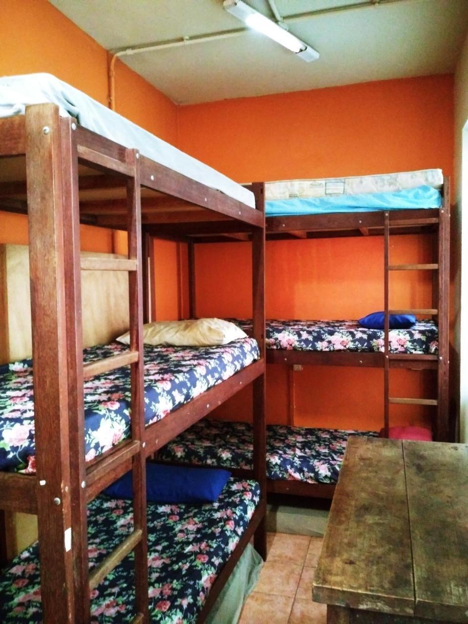 Hostal Alpha - *